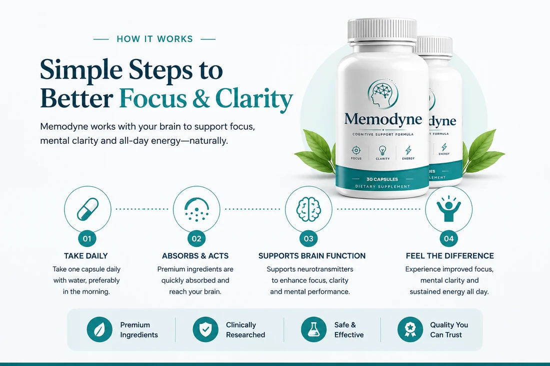 How Memodyne works: take daily, absorbs and acts, supports brain function, feel the difference